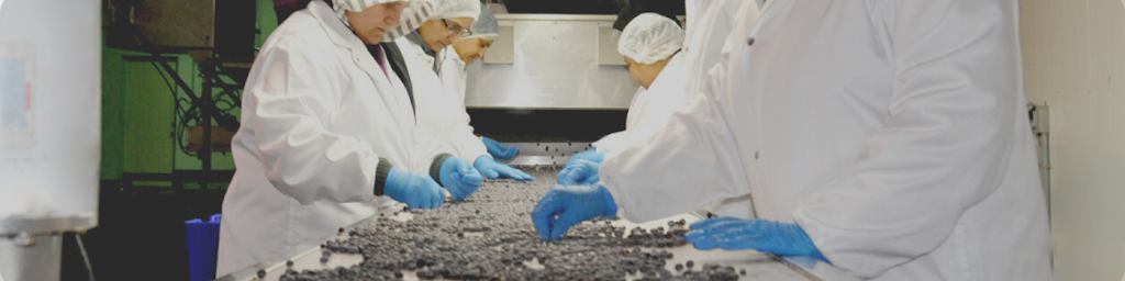 Raiwal Agro Tech Foods Ltd. | 4586 176 St, Surrey, BC V3Z 1C3, Canada | Phone: (604) 576-7508