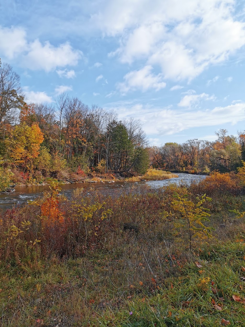 Marsh St Gallery | 203 Marsh St, Clarksburg, ON N0H 1J0, Canada | Phone: (519) 599-2397