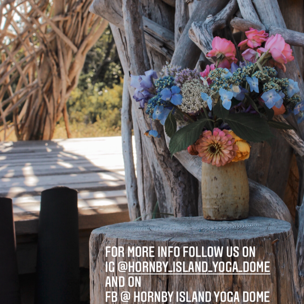 Hornby Island Yoga Dome | Little Tribune Bay Rd, Hornby Island, BC V0R 1Z0, Canada | Phone: (250) 797-1588