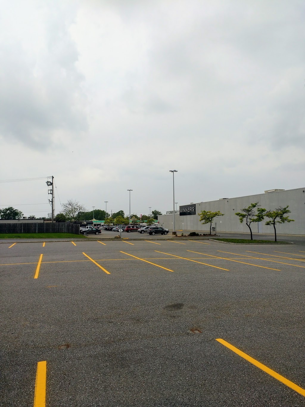 Dougall Square | 2430 Dougall Ave, Windsor, ON N8X 1T2, Canada | Phone: (519) 972-3977