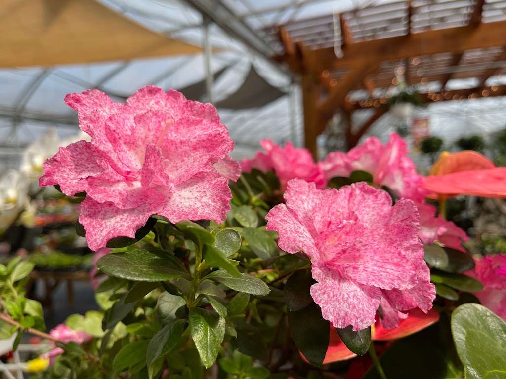 Pinecone Farms Limited | 4300 N Fraser Way, Burnaby, BC V5J 5J8, Canada | Phone: (778) 861-1290