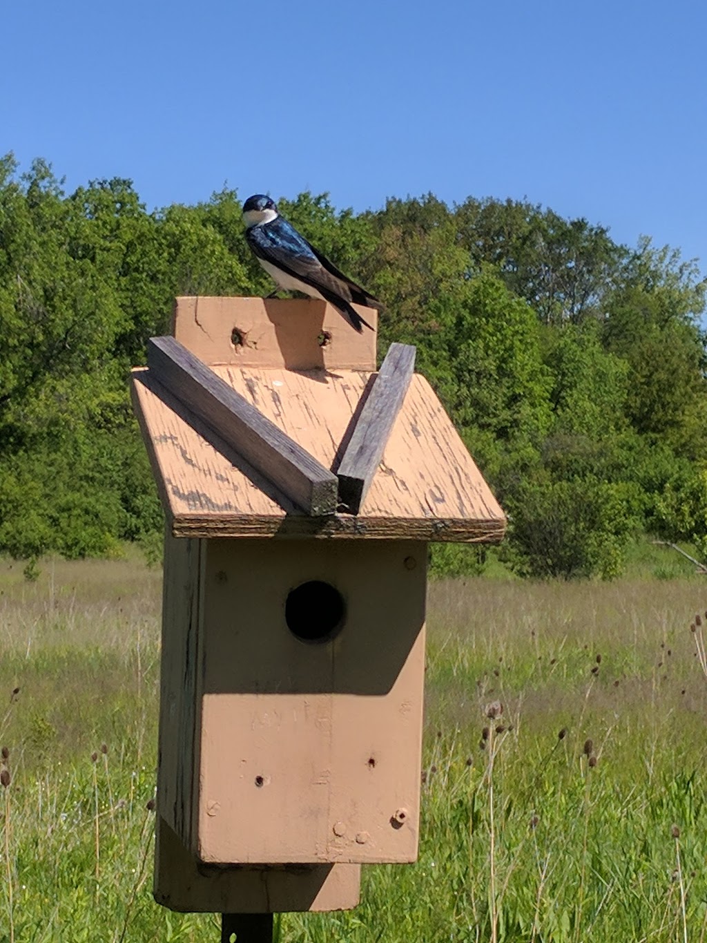 Eramosa Karst Conservation Area | Upper Mt Albion Rd, Stoney Creek, ON L8J 3X9, Canada | Phone: (905) 627-1233
