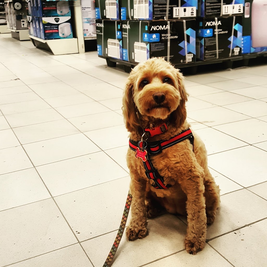 Suburban Paws Canine Training and Enrichment Centre | 2057 Royal Windsor Dr, Mississauga, ON L5J 1K5, Canada | Phone: (905) 855-2656