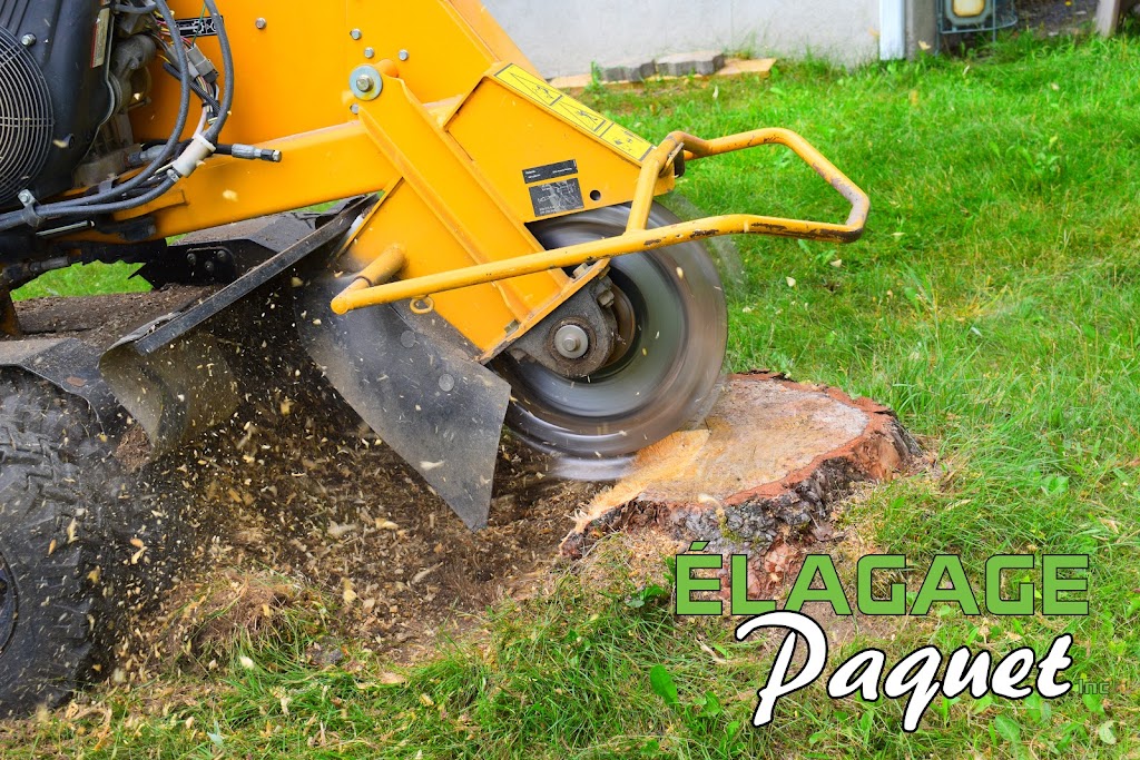 Élagage Paquet Inc. | 1546 22e Rue, Saint-Côme-Linière, QC G0M 1J0, Canada | Phone: (438) 829-2644