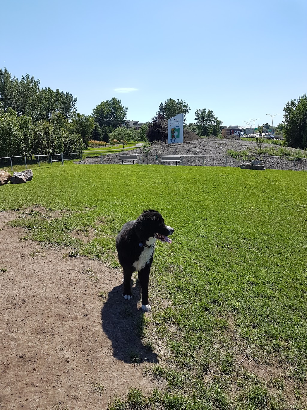 Parc récréatif canin | 450 Rue Saint-Philippe, La Prairie, QC J5R 1G9, Canada | Phone: (450) 444-6600