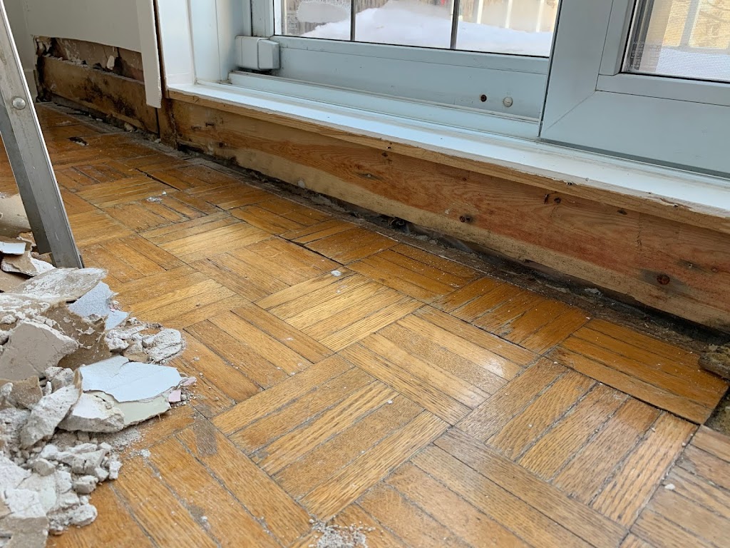 Exterminateur Laval - Morin Extermination Inc. | 1099 Rue Patenaude Porte 1, Laval, QC H7G 3H1, Canada | Phone: (450) 231-0173