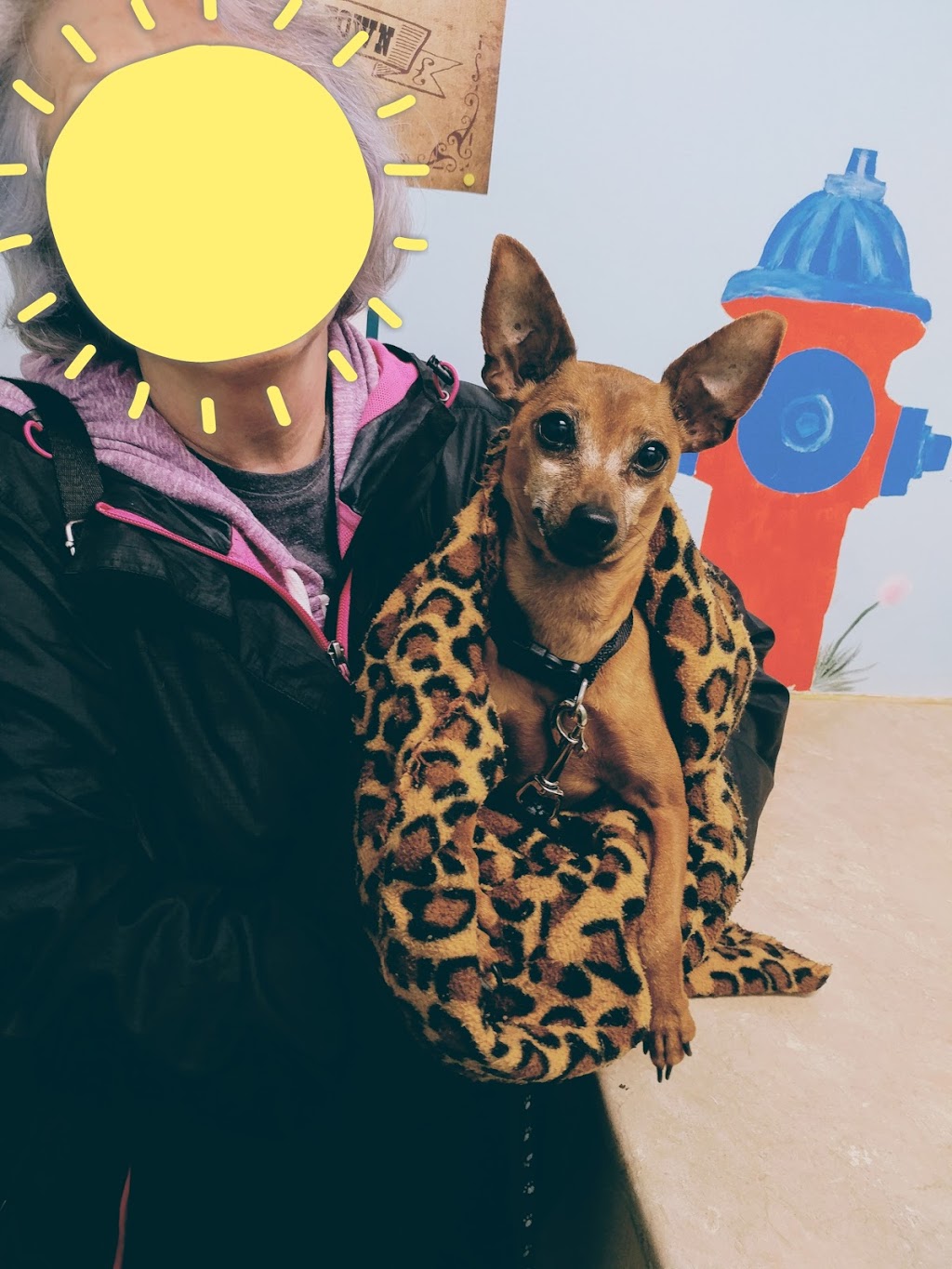 Cedar Hills Animal Hospital | 12863 96 Avenue, Surrey, BC V3V 6V9, Canada | Phone: (604) 583-7387