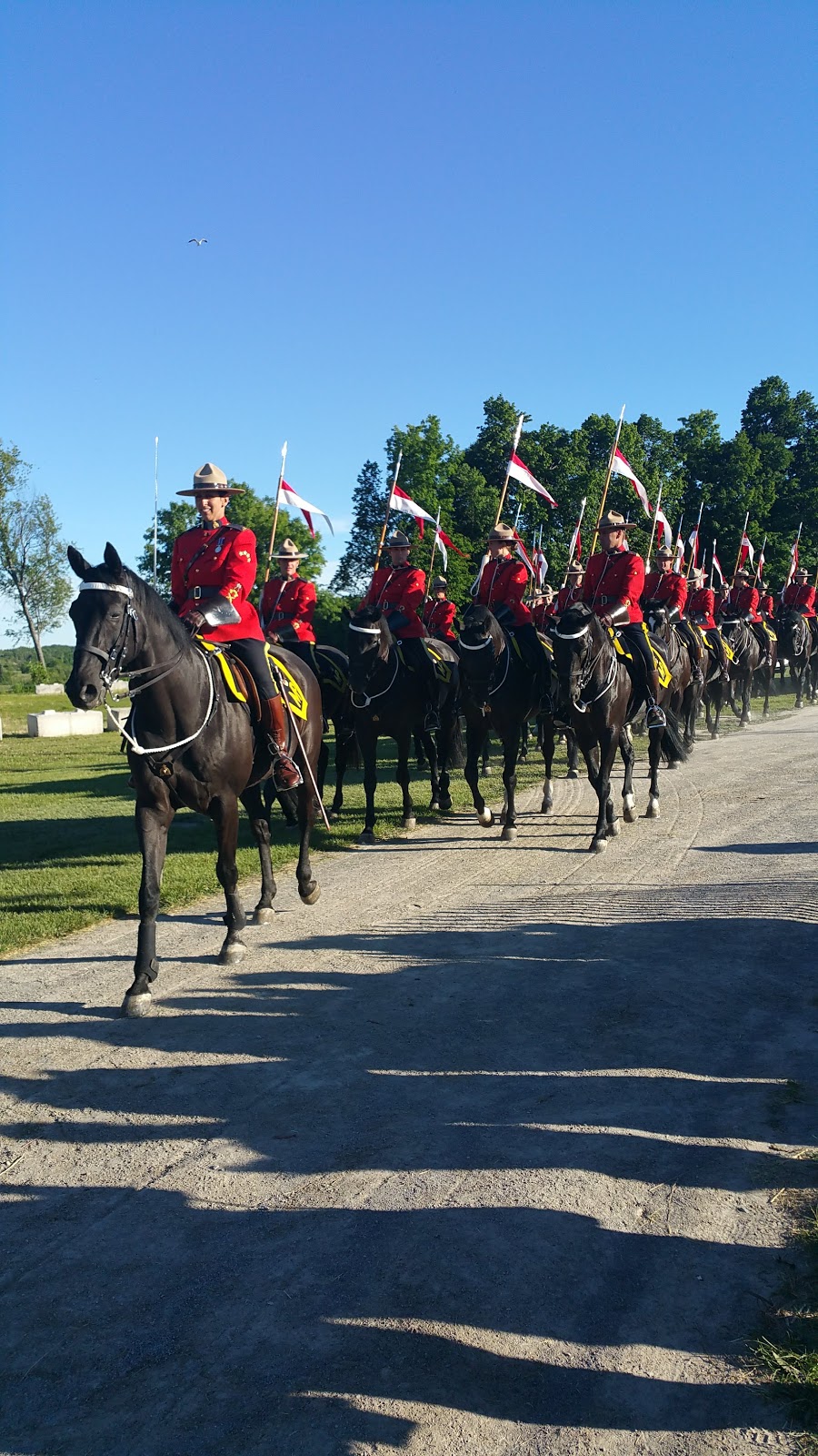 Roseneath Fair (Roseneath Agricultural Society) | 9059 45, Roseneath, ON K0K 2X0, Canada | Phone: (905) 352-3778