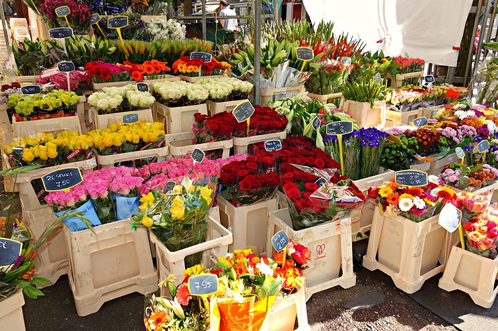 Donna Flora | 7 Rowley St, Richmond Hill, ON L4E 0C3, Canada | Phone: (416) 575-5257