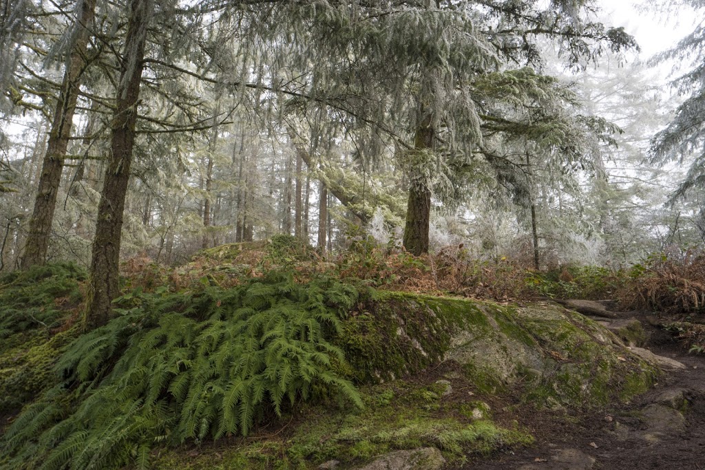 Minnekhada Park | 4455 Oliver Rd, Coquitlam, BC V3E 3H6, Canada | Phone: (604) 432-6352