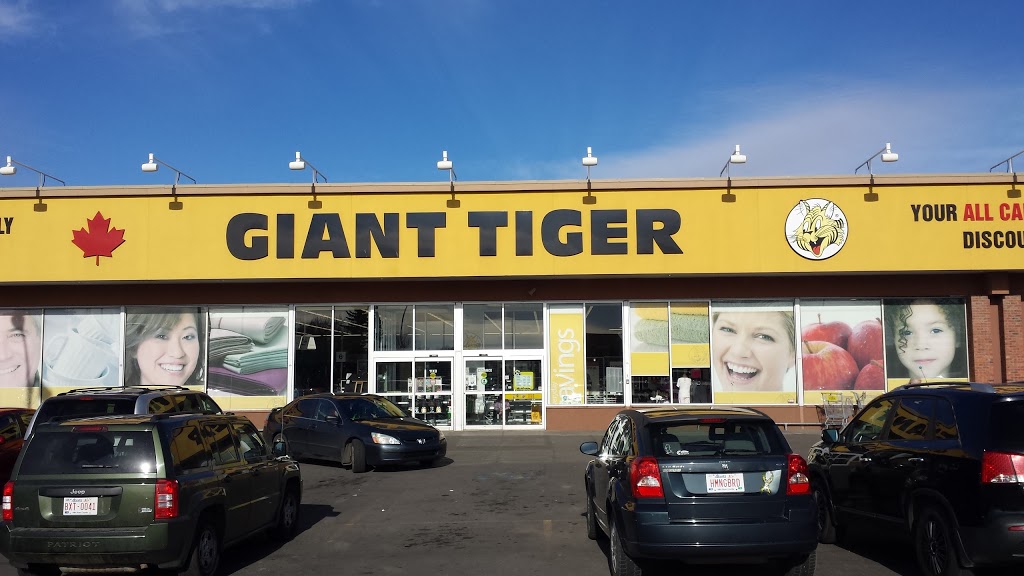 Giant Tiger - 7540 144 Ave NW, Edmonton, AB T5C 2R7, Canada