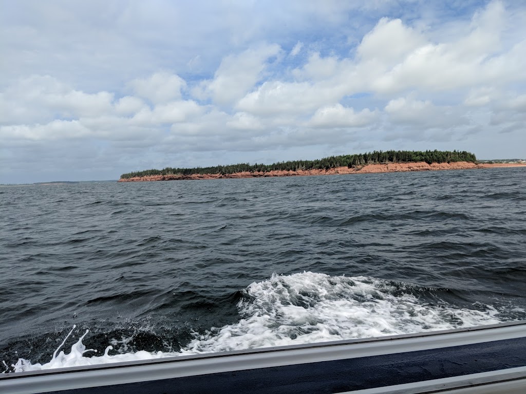 Paradise On The Sea Adventures | 118 Breakwater St, Souris, PE C0A 2B0, Canada | Phone: (902) 969-7727