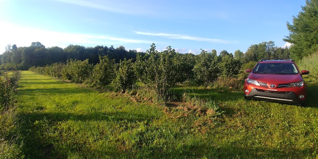 Verger à noix Lapointe / Pépinière | 20600 Ch Forest, Bécancour, QC G9H 1P9, Canada | Phone: (819) 995-4440
