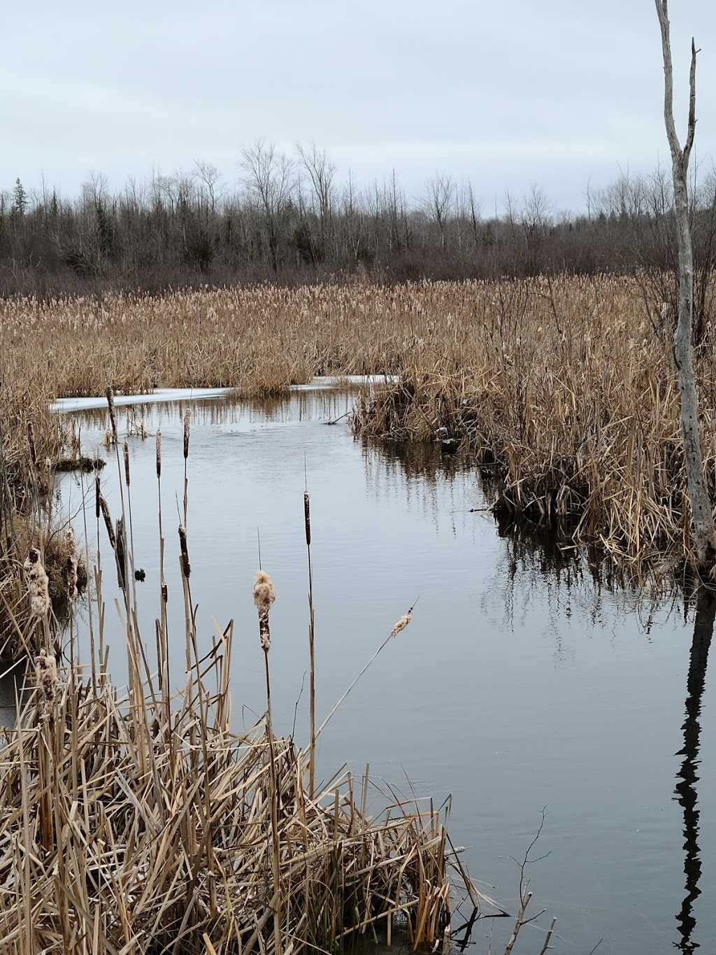 Severn Quarry | 2646 Nichols Line, Orillia, ON L3V 6H3, Canada | Phone: (705) 689-6800