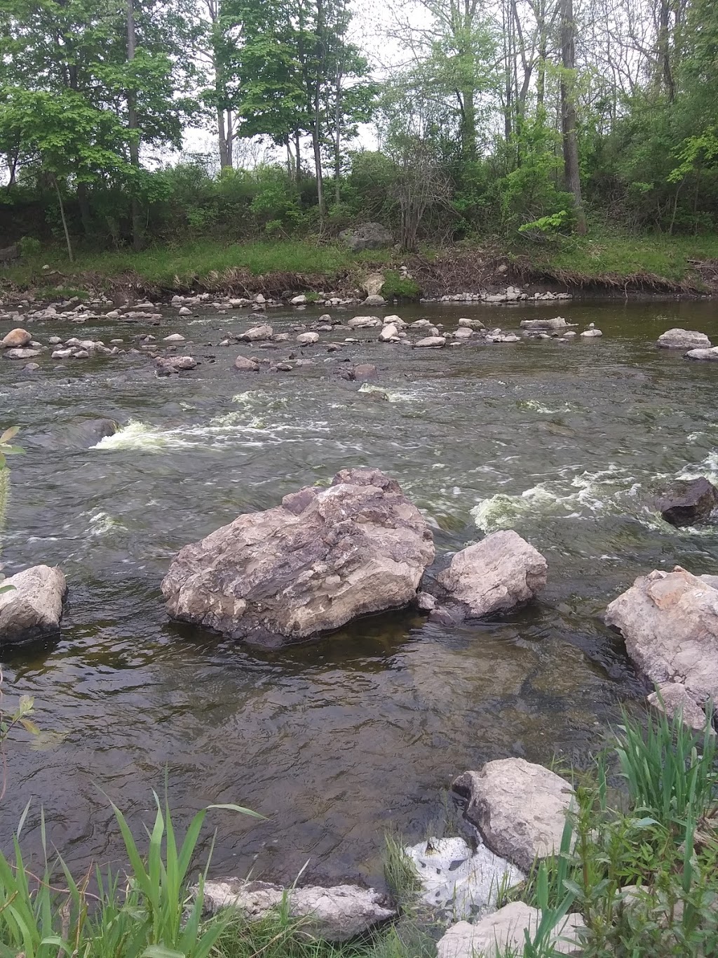 Amber view | 5010 Lockport Rd, Lockport, NY 14094, USA | Phone: 965-3248