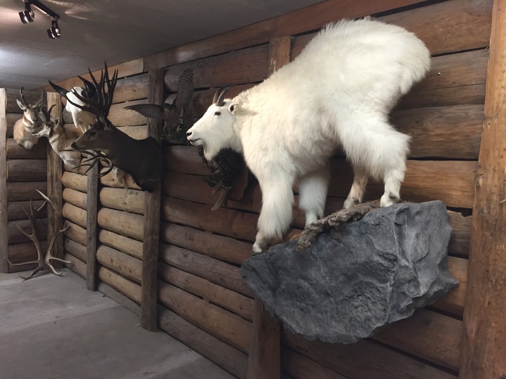 High Caliber Adventures | 6110 Mountainview Rd, Agassiz, BC V0M 1A4, Canada | Phone: (604) 819-2016