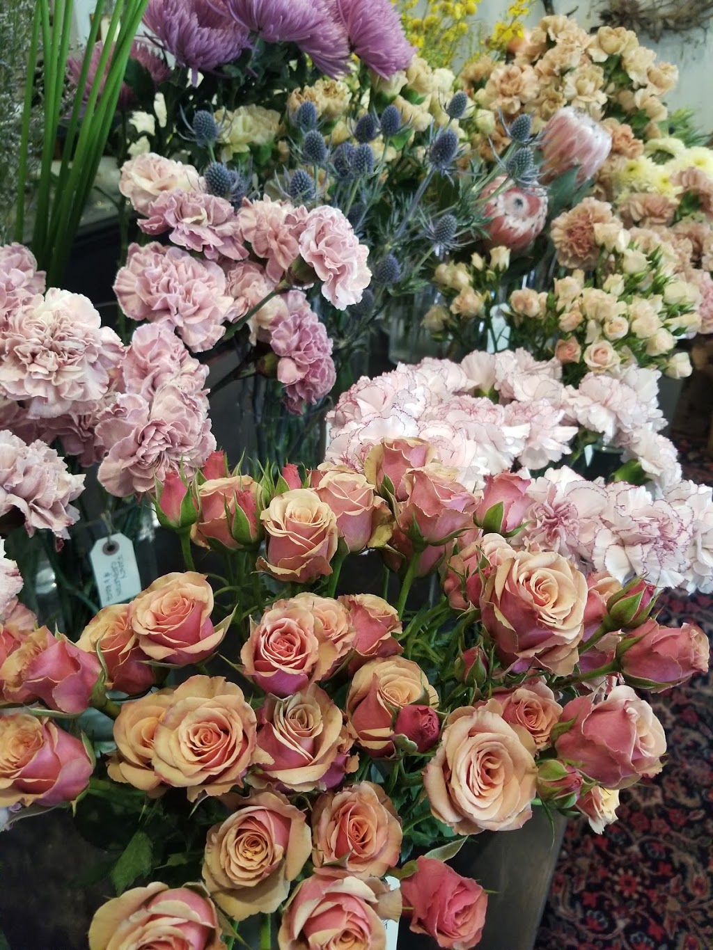 Bloom Room Botanical Gallery Inc. | 621 Kingsway, Vancouver, BC V5T 3K5, Canada | Phone: (604) 879-0275