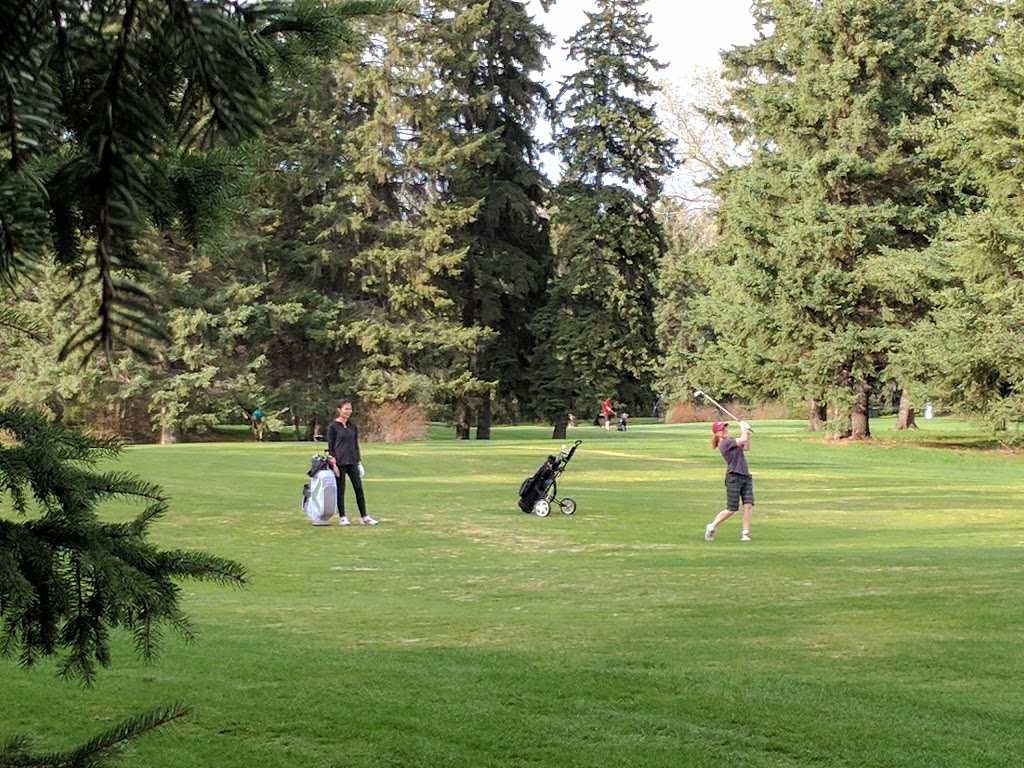 Forest Heights Park | 10104 84 St NW, Edmonton, AB T6A 0B2, Canada | Phone: (780) 496-1117