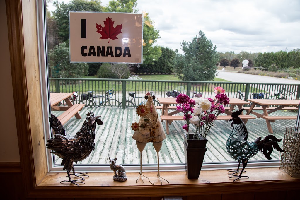 Bayfield Berry Farm | 77697 Orchard Line, Bayfield, ON N0M 1G0, Canada | Phone: (519) 482-1666