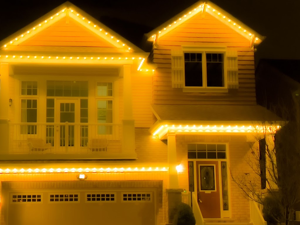 Right Light | 110 Donald B. Munro Dr, Carp, ON K0A 1L0, Canada | Phone: (613) 908-1229
