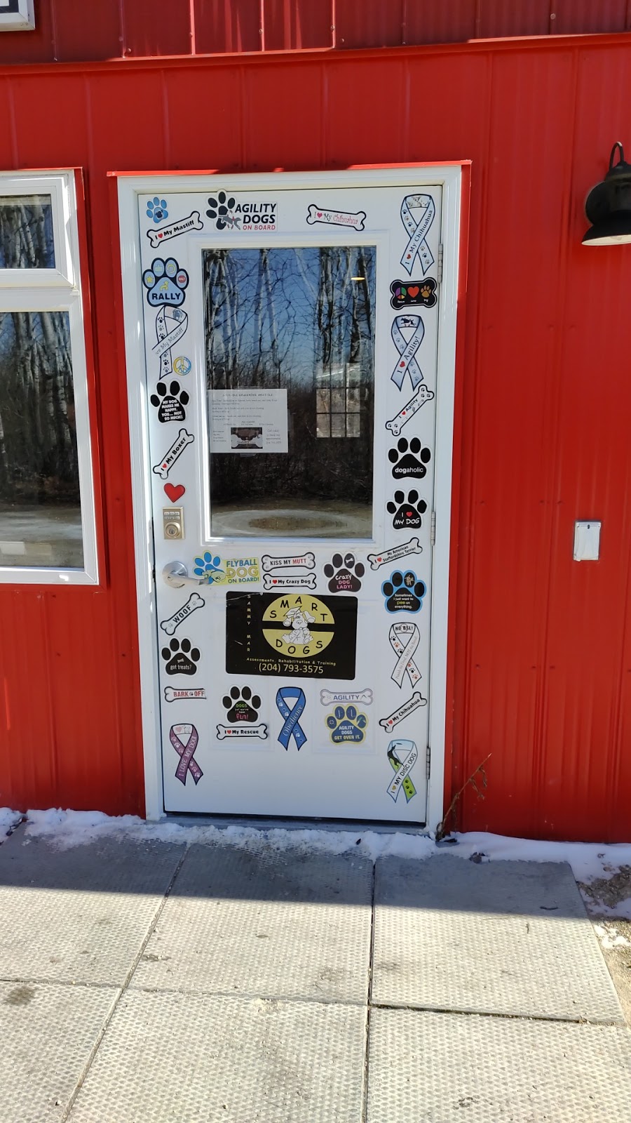SMART Dogs | 14059 E Komarno Rd, Winnipeg Beach, MB R0C 3B0, Canada | Phone: (204) 793-3575