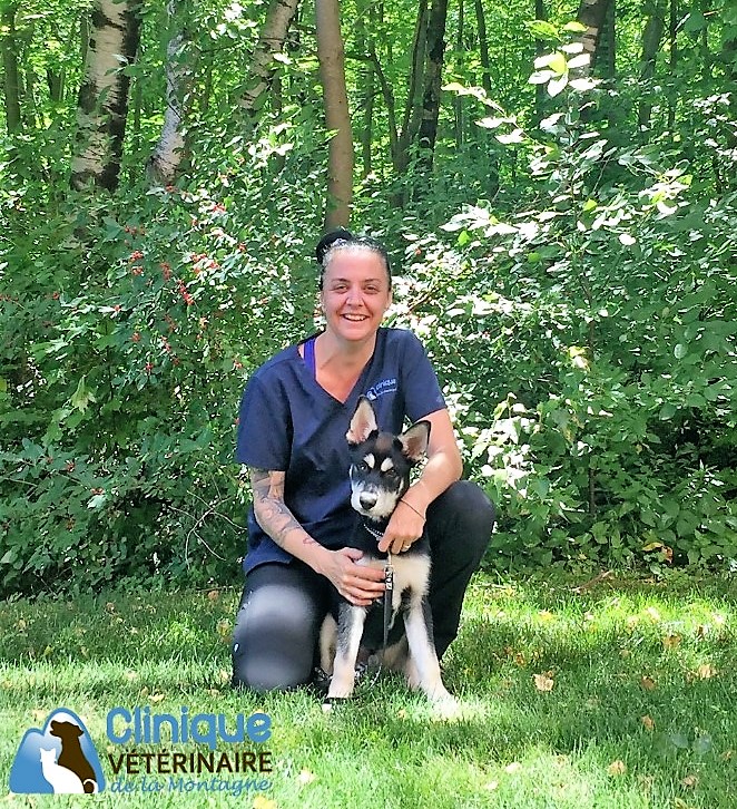 Clinique Vétérinaire de la Montagne 670 Boulevard SirWilfridLaurier