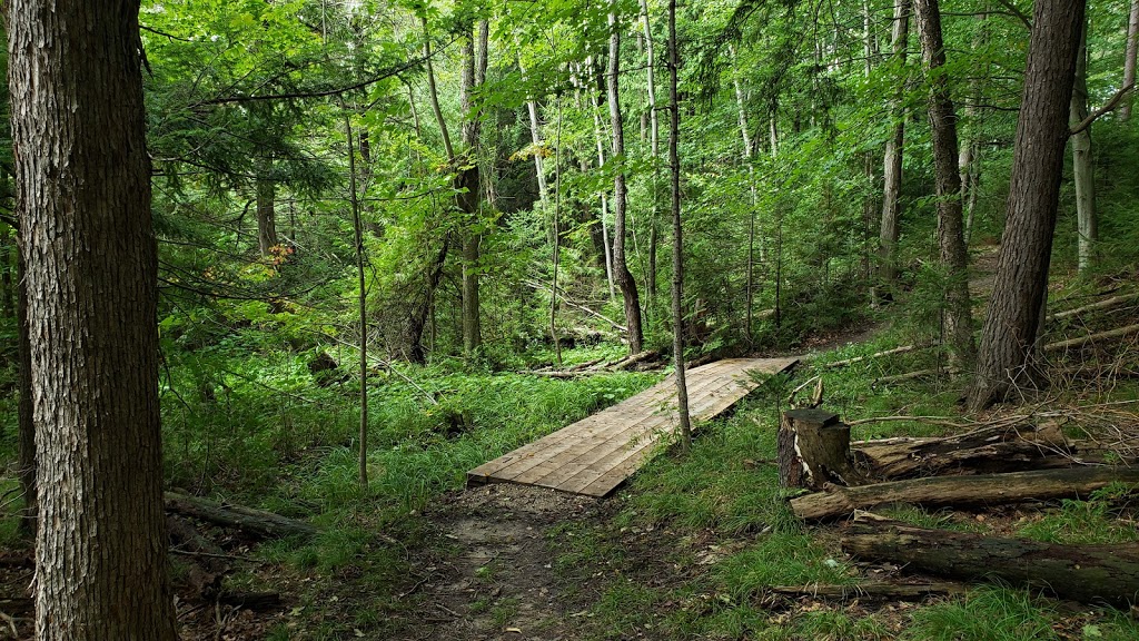 Sulphur Spring Conservation Area | 261123 Grey Rd 28, Hanover, ON N4N 3B8, Canada | Phone: (519) 367-3040