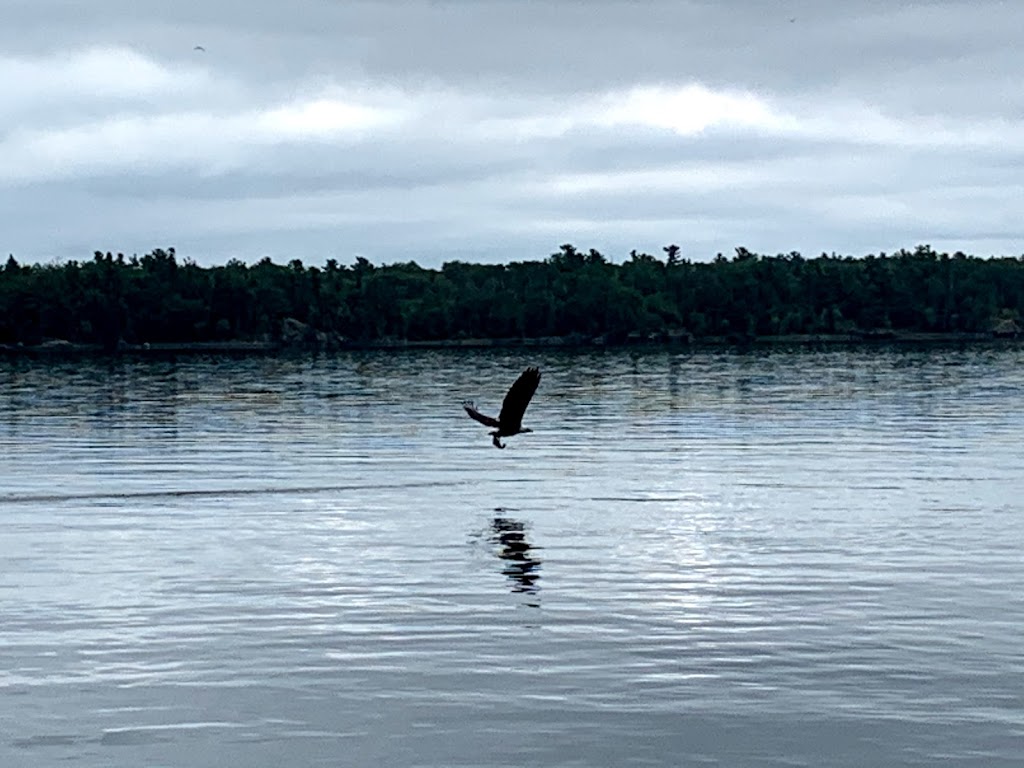 Pauls Fishing Charters | 25 Pyes Rd, Clearwater Bay, ON P0X 1S0, Canada | Phone: (431) 373-3455