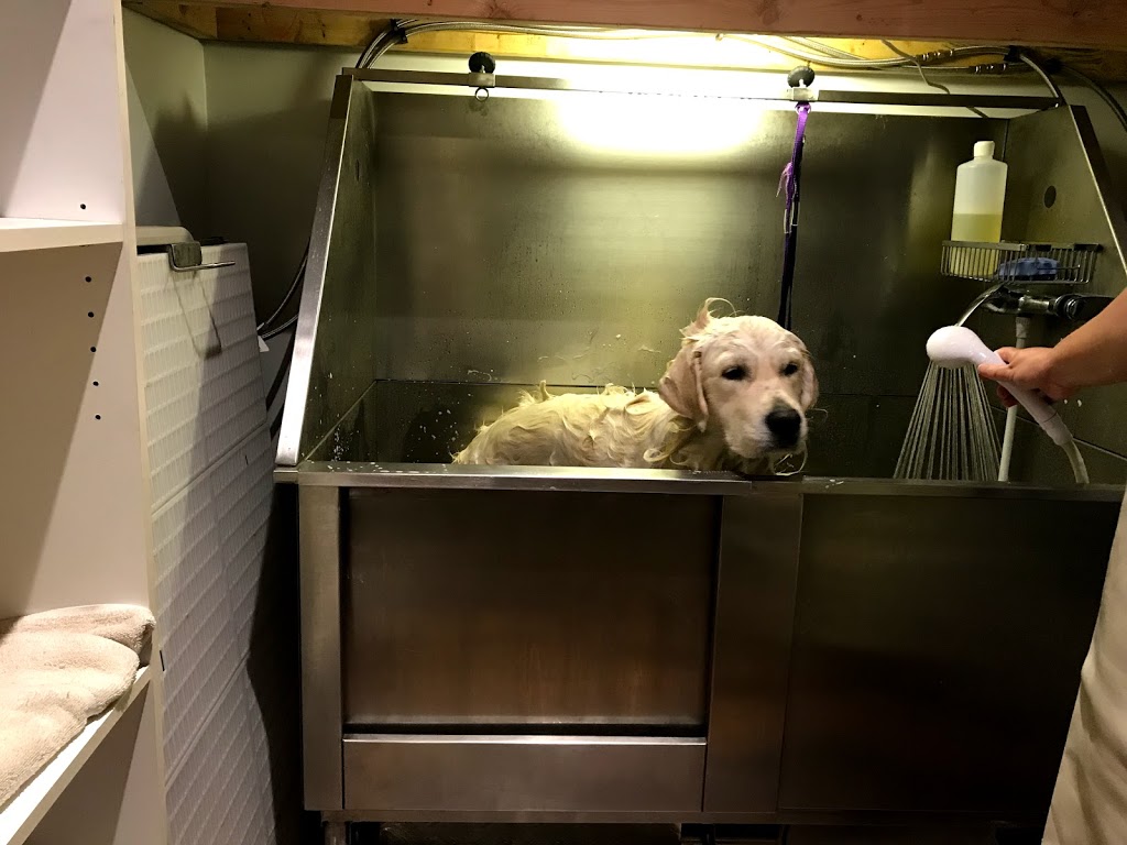 All Pets Food & Supplies | 110-7088 W Saanich Rd, Brentwood Bay, BC V8M 1P9, Canada | Phone: (778) 351-4738