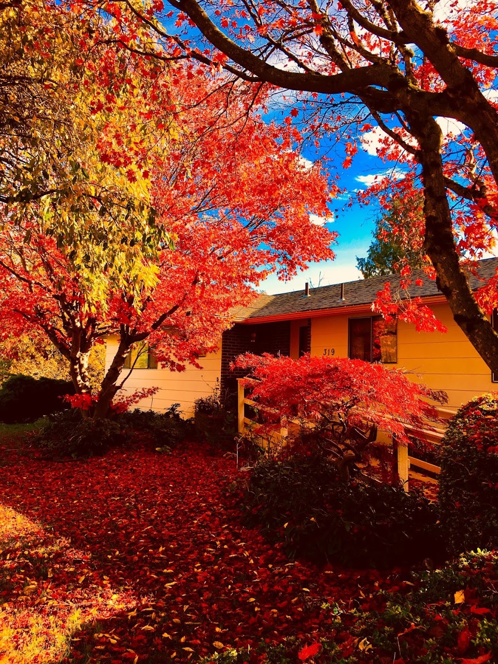 Maple Park Adult Family Home | 319 S Park St, Lynden, WA 98264, USA | Phone: (360) 306-9945