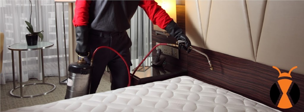 Xterminate Pest Control | 22 Allenhead Crescent, Brampton, ON L6Z 4H4, Canada | Phone: (416) 708-2248