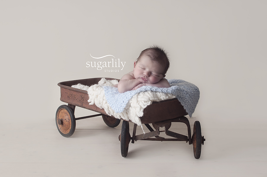 Sugarlily Studios | 10973 Barnston View Rd #104, Pitt Meadows, BC V3Y 0B8, Canada | Phone: (604) 463-6545