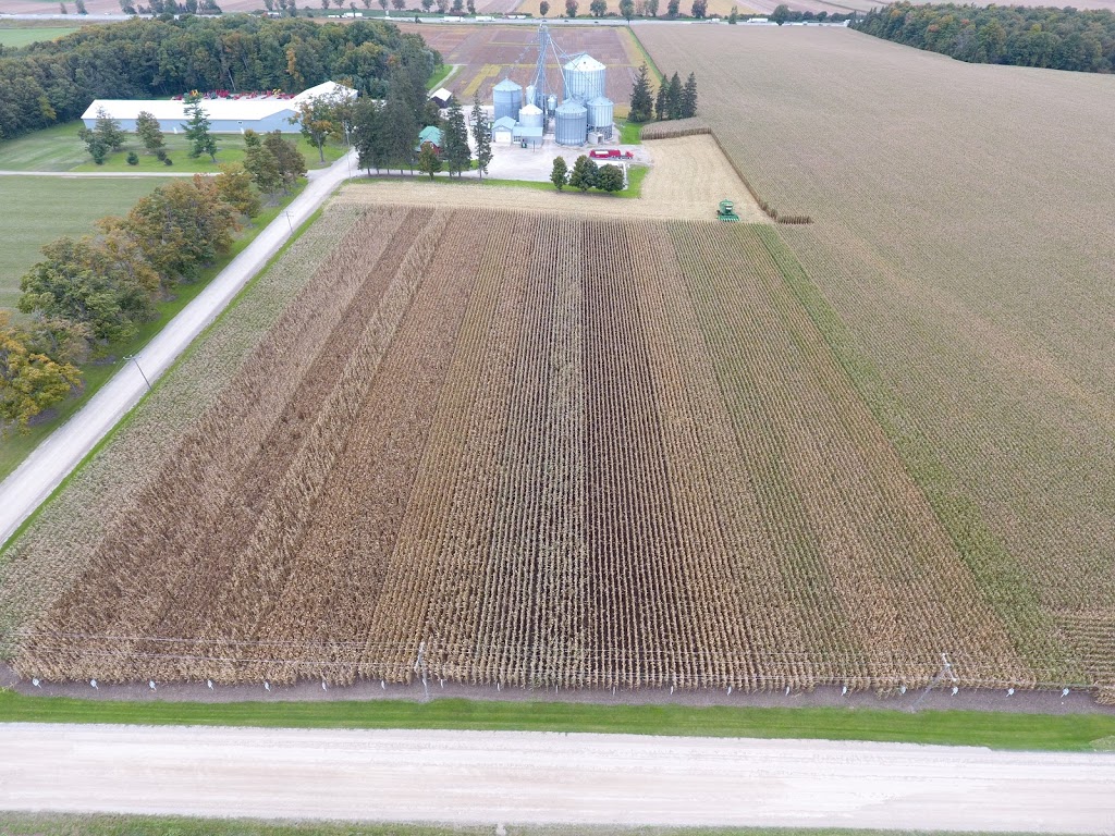 Generation Grain Elevators Ltd | 454500 Trillium Line, Beachville, ON N0J 1A0, Canada | Phone: (519) 532-8780