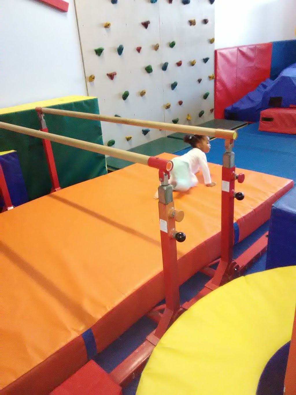 Rolly Pollies | Rolly Pollies of North Buffalo, 1669 Hertel Ave, Buffalo, NY 14216, USA | Phone: (716) 833-3318