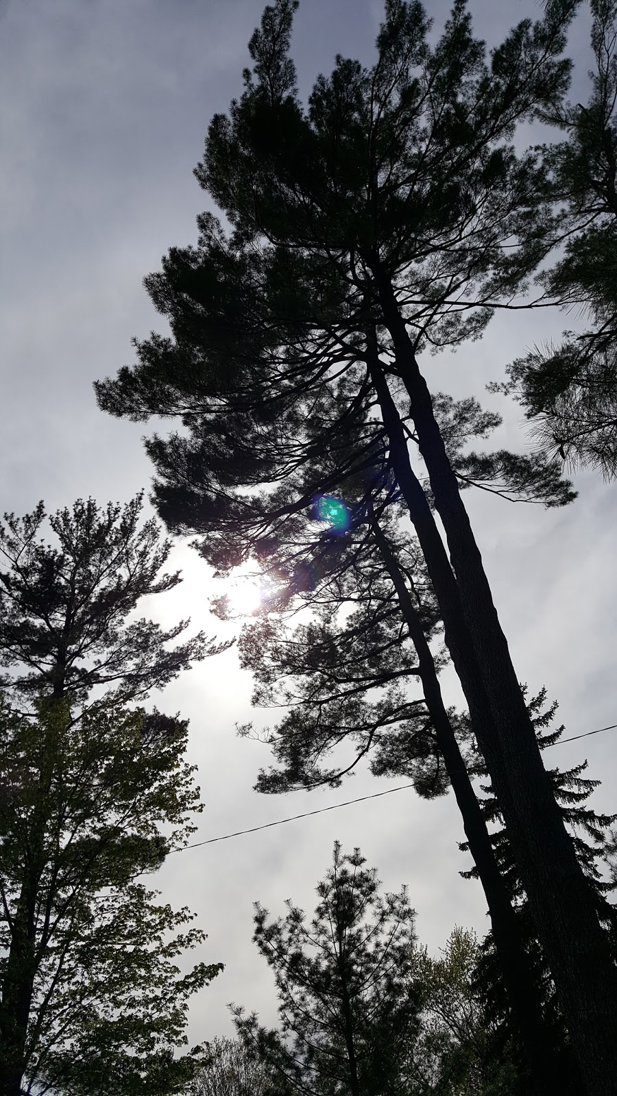 Nelson Park | 349 Codrington St, Barrie, ON L4M 4J7, Canada