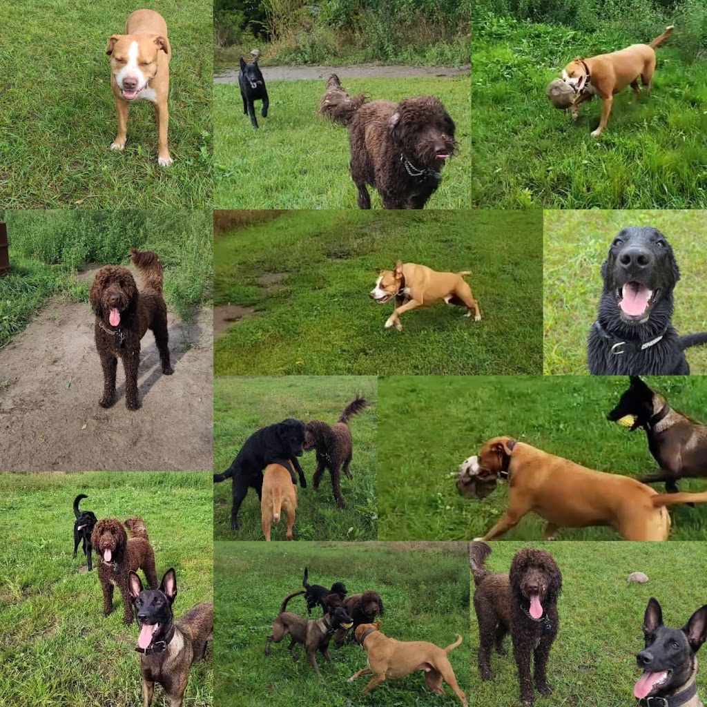 VanYs 4 Paw Paradise | 47 Rang de la Rivière-Noire S, Saint-Chrysostome, QC J0S 1R0, Canada | Phone: (438) 483-4559