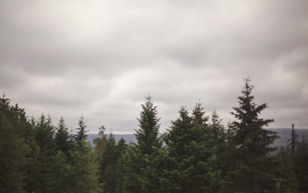 Oceanside Acupuncture & Massage Therapy | 1083 Middlegate Rd, Errington, BC V0R 1V0, Canada | Phone: (250) 228-4229