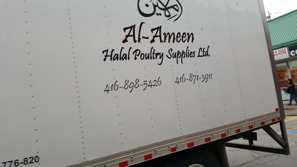 Al-Ameen Halal Poultry Supplies Ltd. | 5318 Finch Ave E Unit 13, Scarborough, ON M1S 5G2, Canada | Phone: (416) 299-9401