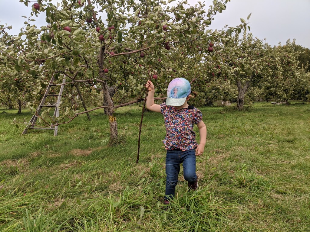 Verger du Moulin | 480 Chemin du Moulin, Rougemont, QC J0L 1M0, Canada | Phone: (450) 947-1072