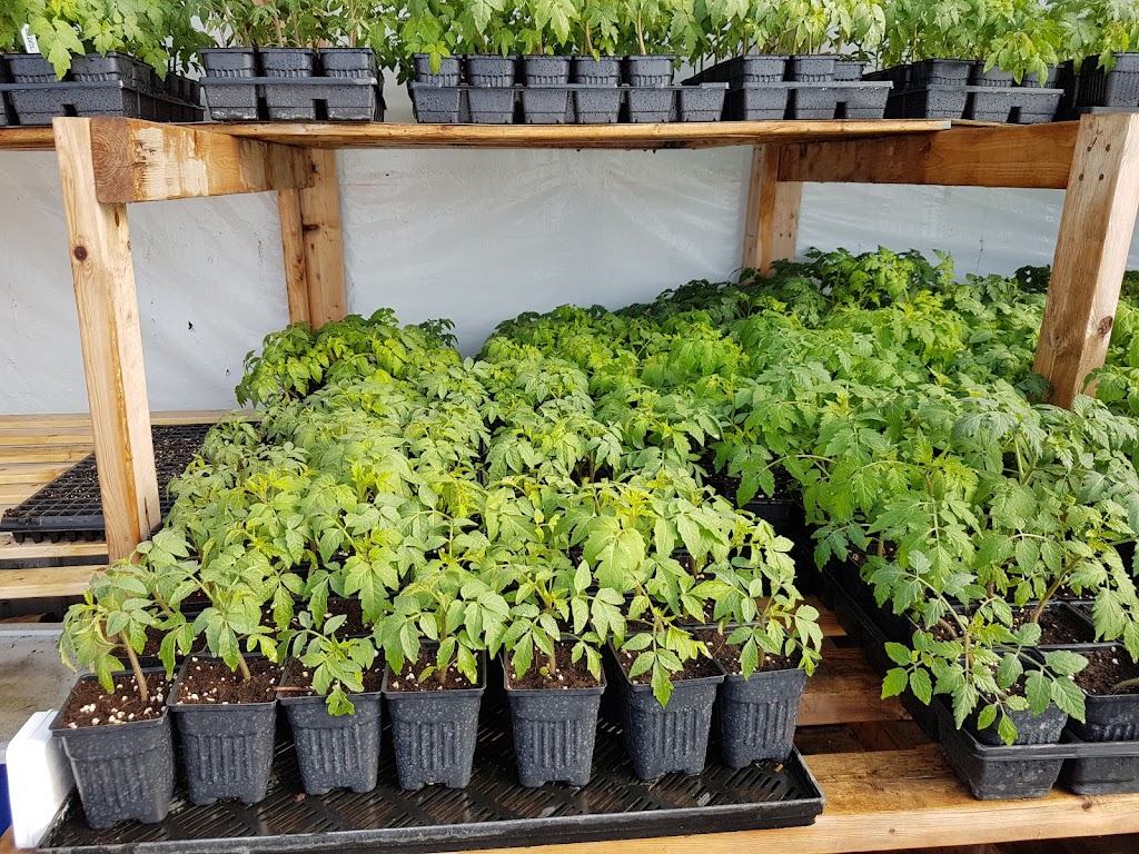 Ferme Biologique Fournier et Roy | 267 Rang Saint-André, Napierville, QC J0J 1L0, Canada | Phone: (514) 434-0995