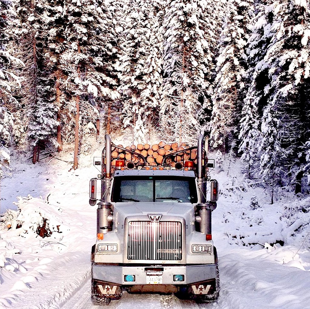Valley Carriers Ltd | 4491 Gladwin Rd, Abbotsford, BC V4X 1W6, Canada | Phone: (604) 853-1075