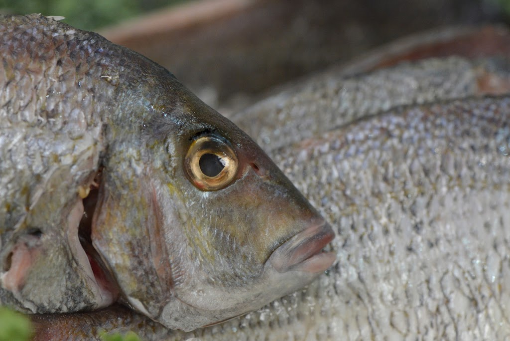Poissonnerie Québec Océan | 1699 Route de lAéroport, LAncienne-Lorette, QC G2G 2P4, Canada | Phone: (418) 874-7773