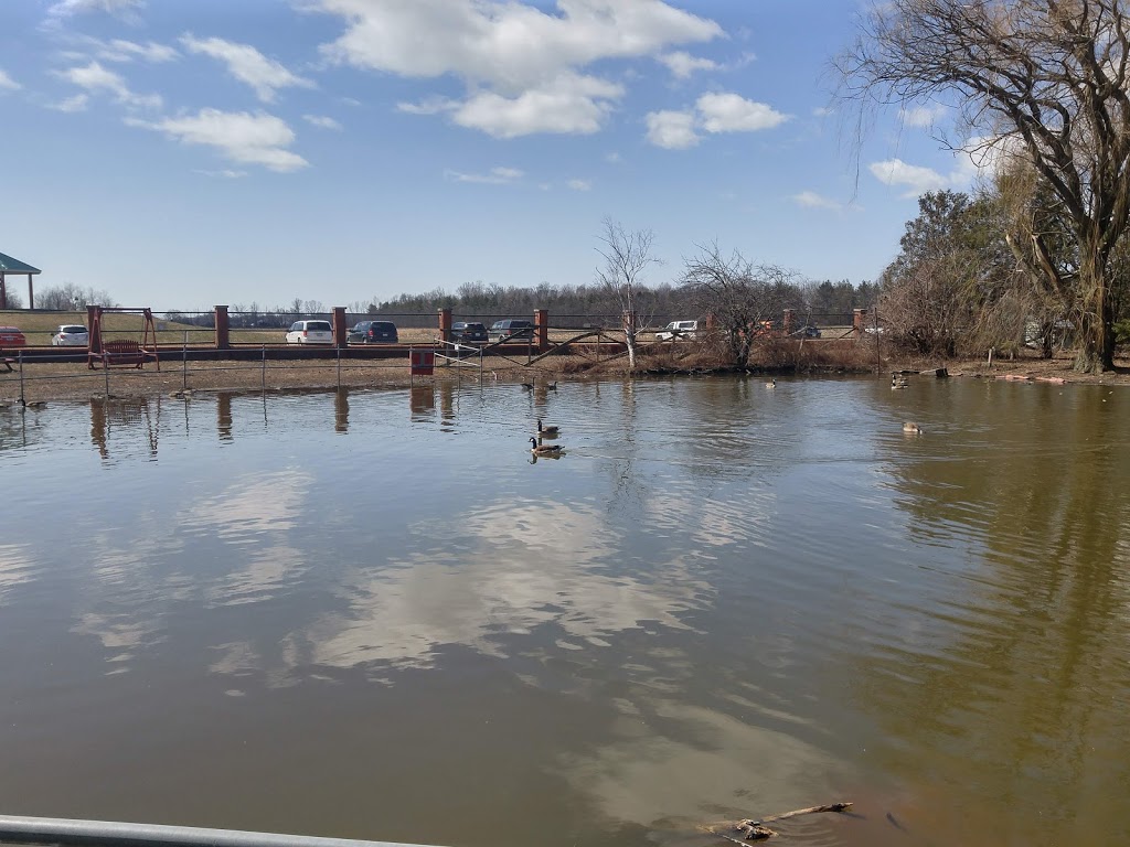 Jack Miner Migratory Bird Sanctuary | 332 Road 3 W, Kingsville, ON N9Y 2E5, Canada | Phone: (519) 733-4034