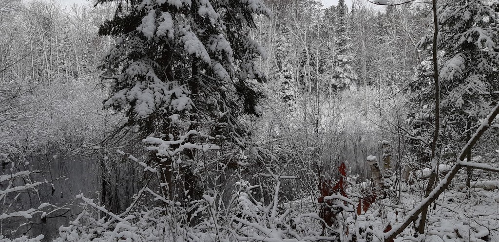 Green Bay Lodge & Trailer Camp | 463 Green Bay Rd, Noëlville, ON P0M 2N0, Canada | Phone: (705) 898-2747