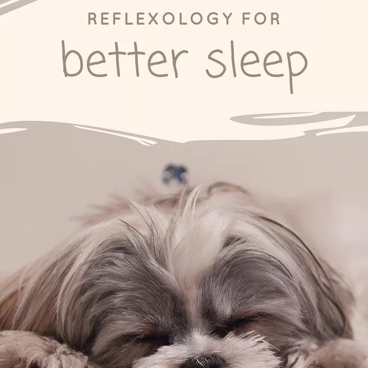 Mindful Reflexology | 77 Wellington St E, Barrie, ON L4M 2C3, Canada | Phone: (705) 984-5602