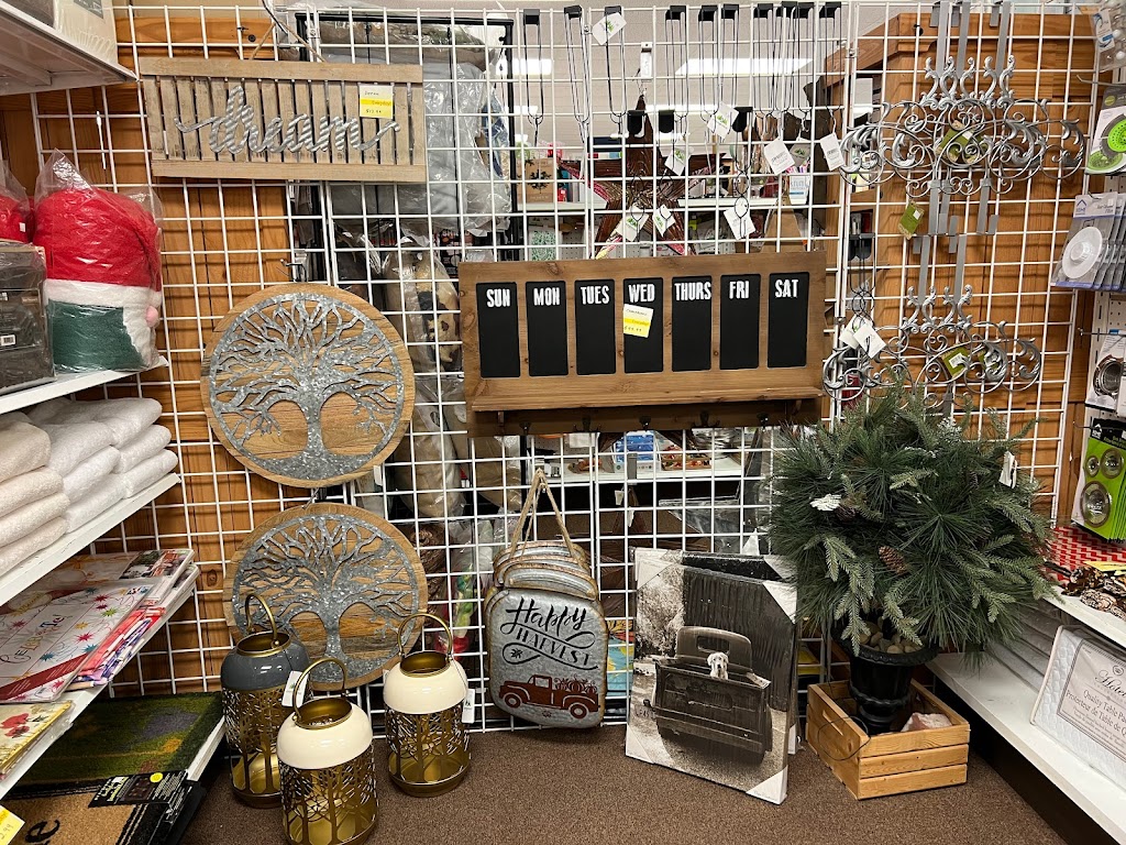 Castor Value Drug Mart | 5106 50 Ave, Castor, AB T0C 0X0, Canada | Phone: (403) 882-3055