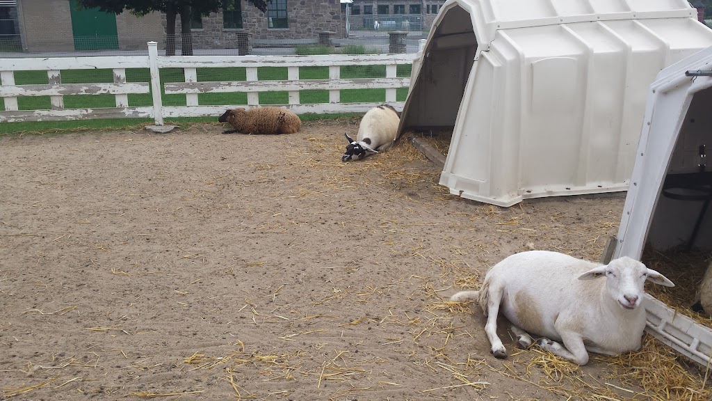 Macdonald Farm | Sainte-Anne-de-Bellevue, QC H9X, Canada | Phone: (514) 398-7701