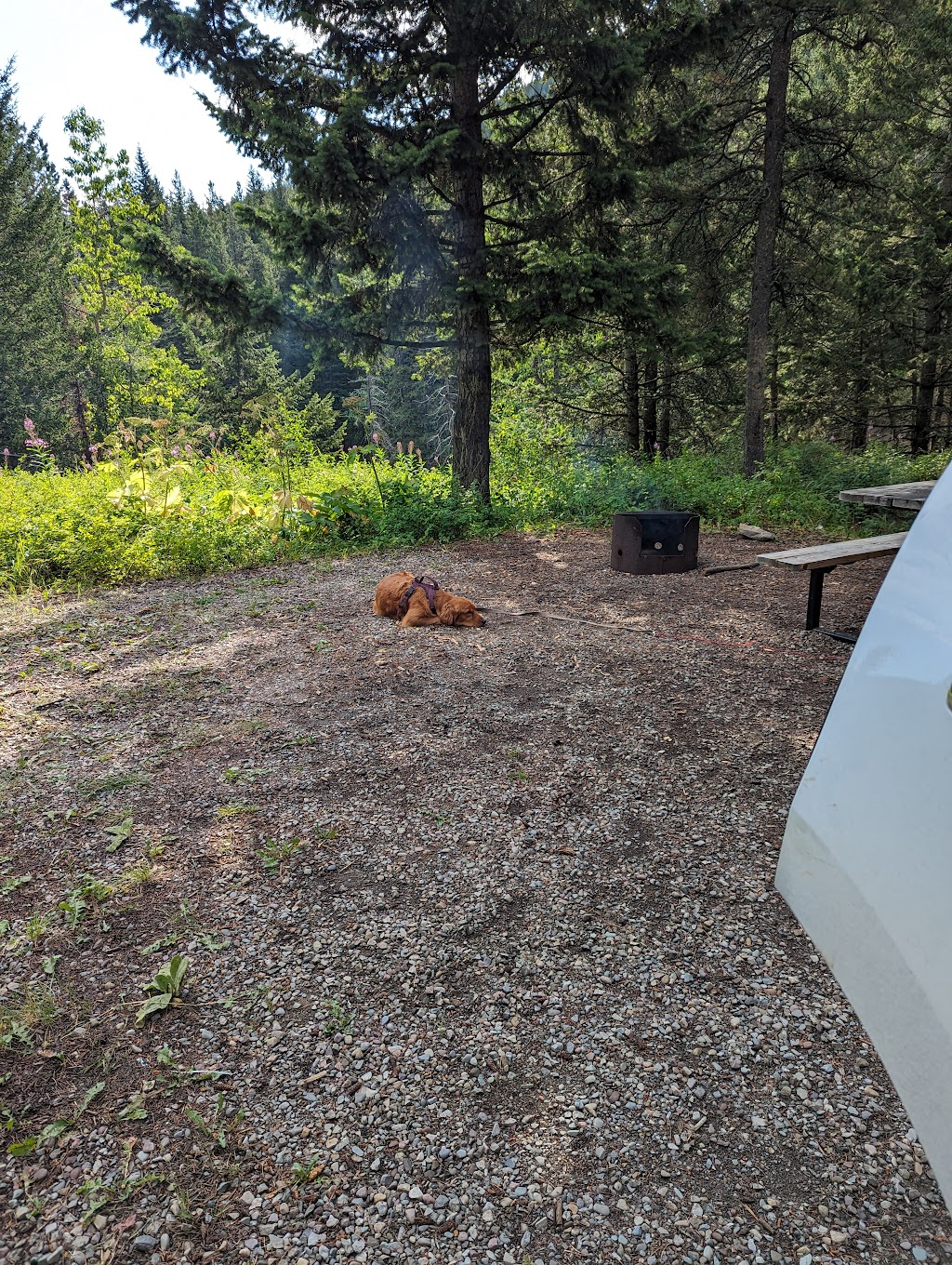 Lynx Creek Campground | Carbondale River Rd, Hillcrest Mines, AB T0K 1C0, Canada | Phone: (403) 627-1165