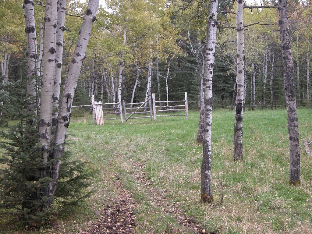 Price Camp Trail | Kananaskis, AB T0L 2A0, Canada
