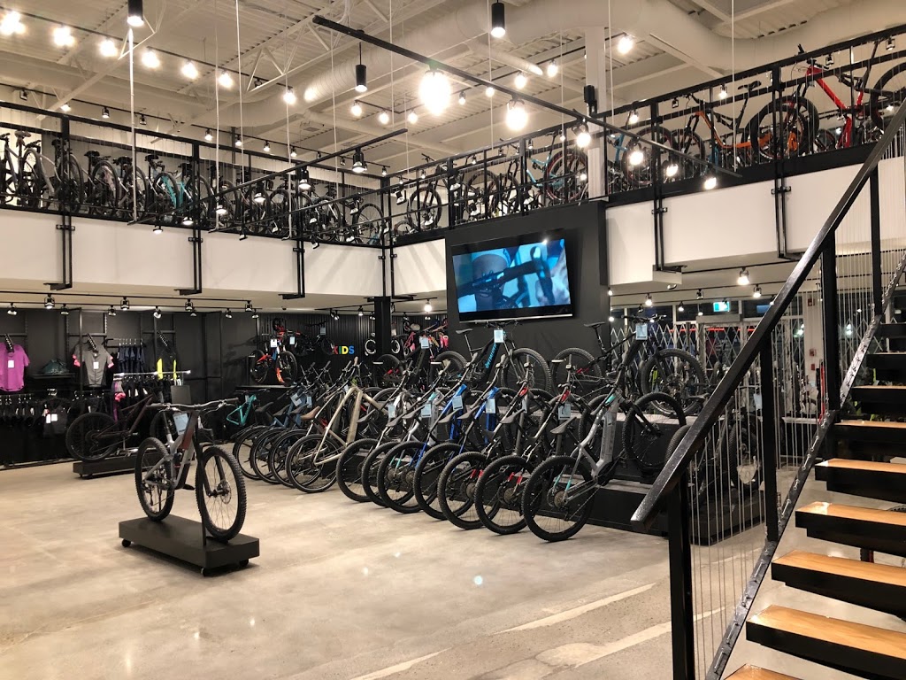 The Bike Shop South | 7413 Macleod Trail SW, Calgary, AB T2H 0L8, Canada | Phone: (403) 253-7717
